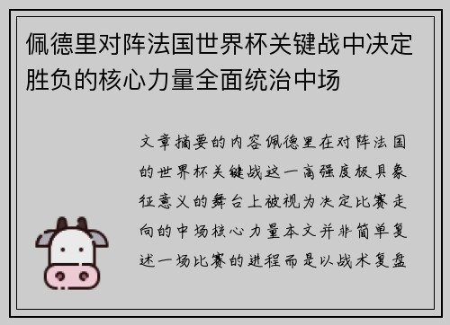 佩德里对阵法国世界杯关键战中决定胜负的核心力量全面统治中场